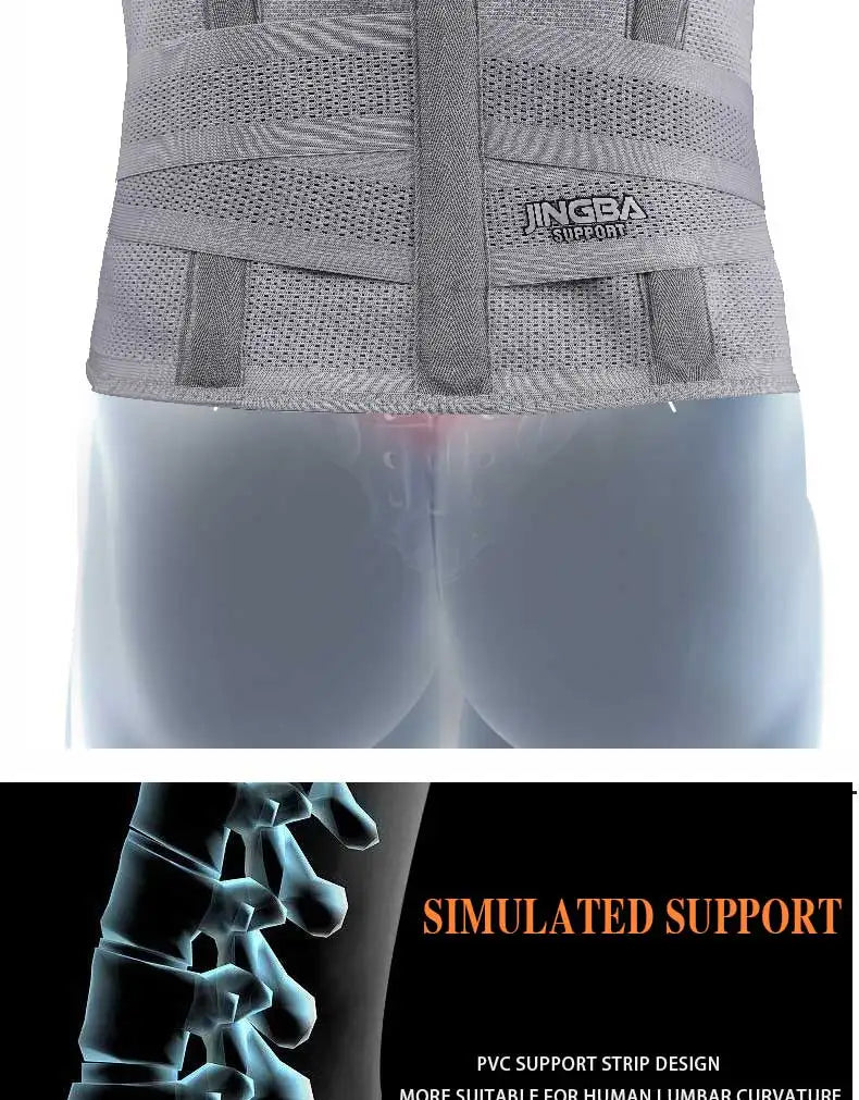 Adjustable Fitness Waist & Back Support Belt